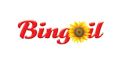 Bingoil