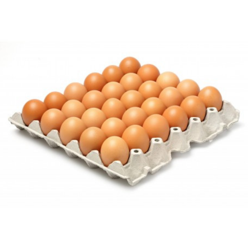 8891488754800 Oeufs frais plateau x30 - grossiste alimentaire Persan
